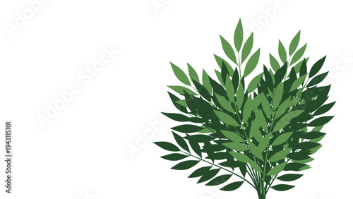 Lush illustration of a green leafy bush with dense foliage isolated on a white background for landscape design use.