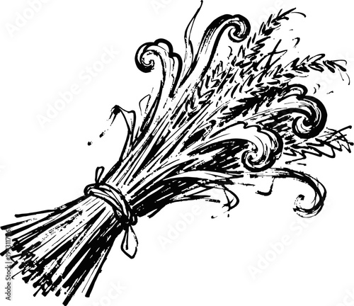 Vintage hand drawn wheat sheaf bundle tied with string detailed botanical illustration