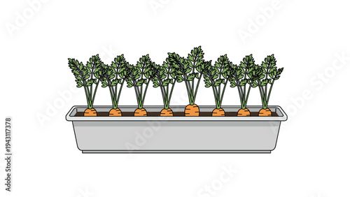 Illustration of a row of carrots growing in a long gray rectangular planter box with lush green foliage on top.