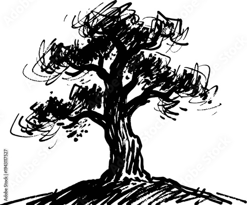 hand drawn sketch of large oak tree with spreading branches and textured trunk on hill