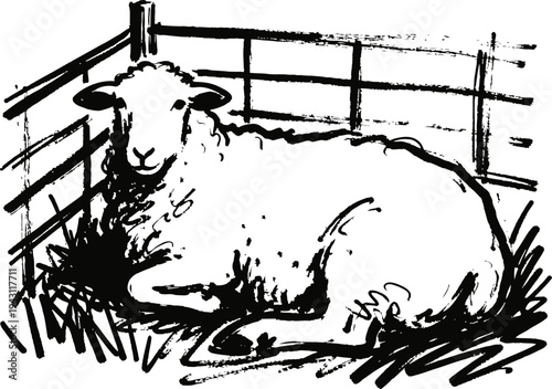 Black and white sketch of a sheep resting inside a fenced pen with textured wool and relaxed posture