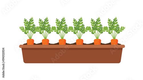 Row of six orange carrots with green leafy tops growing in a long brown rectangular ceramic or plastic planter box on white.