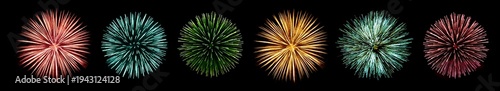 Collection of colorful fireworks bursts isolated on black background. Festive celebration elements representing holidays, festivals, New Year events and party decorations.