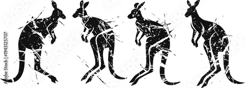 Abstract grunge kangaroo silhouettes in various jumping and standing poses with scratch texture
