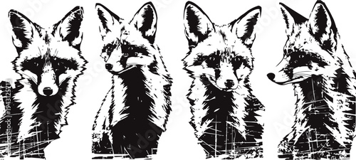 Four black and white grunge fox portraits with abstract texture and different head angles