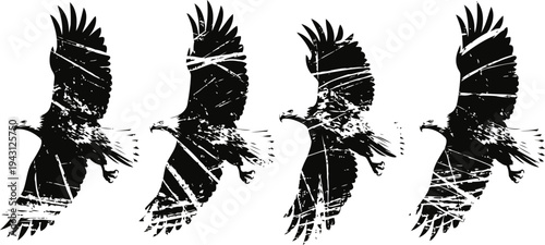 black bird silhouette flying in different wing positions set on white background