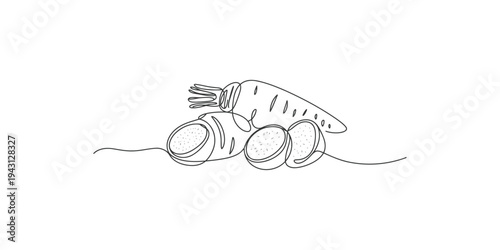 Continuous line drawing of a carrot and two radishes on white background radish vegetable root
