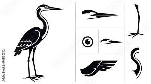 Heron bird vector illustration set featuring heron body head with long beak eye wing and long bird leg icons isolated