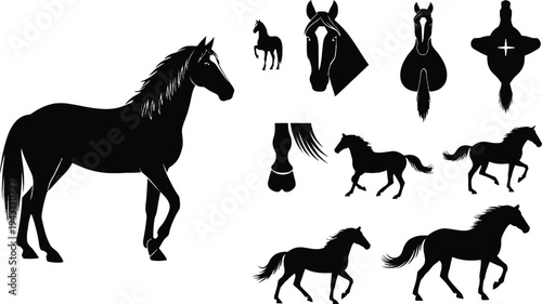 A horse silhouette illustration set with various poses and details