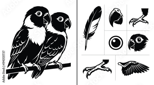 Two lovebird parrots perched on branch vector illustration set including parrot body head beak eye feather wing and bird claw icons