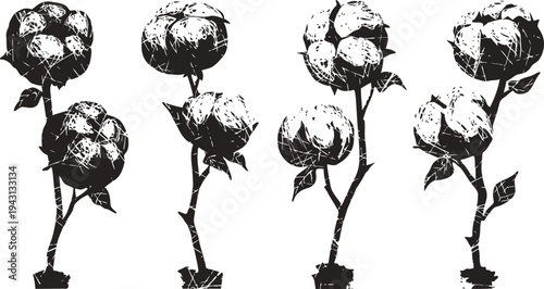 black and white cotton plant illustrations with stems and leaves on white background