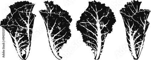 set of four leaf silhouettes with jagged edges and distinct veining patterns