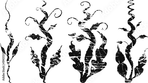 Abstract black seaweed silhouettes with textured effect marine plant shapes with curling fronds and leaves