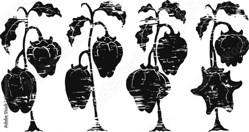 Silhouettes of various unusual pepper shapes hanging on stems with leaves and branches