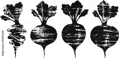 black silhouette beetroot set with leaves, rustic vintage vegetable illustrations collection