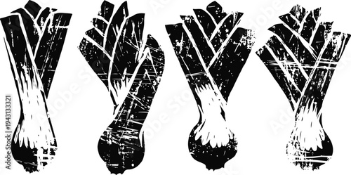 Grungy leek vegetable illustrations set hand drawn garden fresh allium family with rough textured