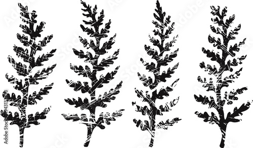 Black ink silhouettes of fern leaves set vintage botanical leaf illustration collection nature design elements