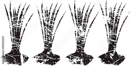 Grunge sugarcane silhouettes in black and white with textured distressed effect