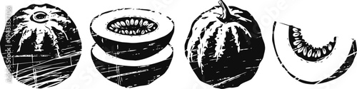 Black and white illustration of various kiwi fruit and pumpkin slices with texture details