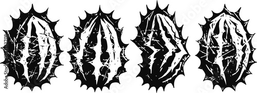 four detailed black and white stylized seed pod illustrations with spiky outer edges and symmetrical patterns