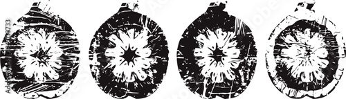 Black and white fig fruit cross sections with detailed texture and seeds illustration