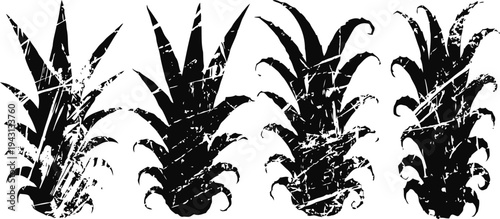 Black and white pineapple silhouettes vector set tropical fruit illustration decorative exotic nature elements