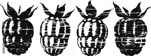 four vintage pomegranate illustrations in black and white with textured distressed