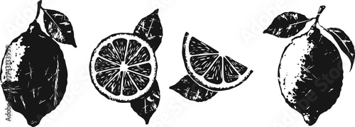 Black and white detailed lemon illustration with whole fruit and sliced pieces with leaves