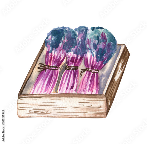 Cottagecore watercolor illustration of the purple cabbage in a wooden crate. For scrapbooking, stickers, articles, and more