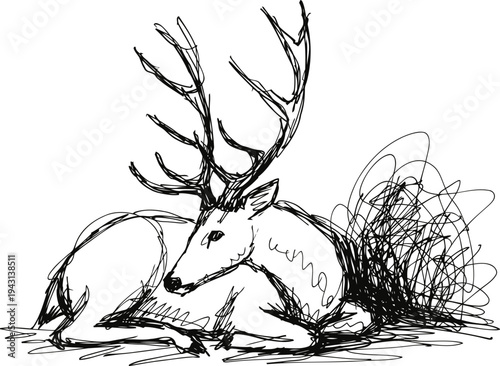 Resting deer with large antlers lying on the ground in natural surroundings ink sketch
