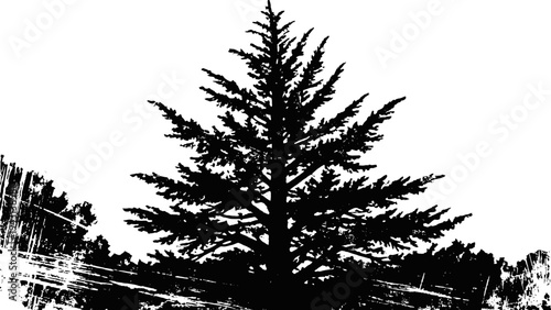 Silhouette of pine tree with grunge textured background in black and white design