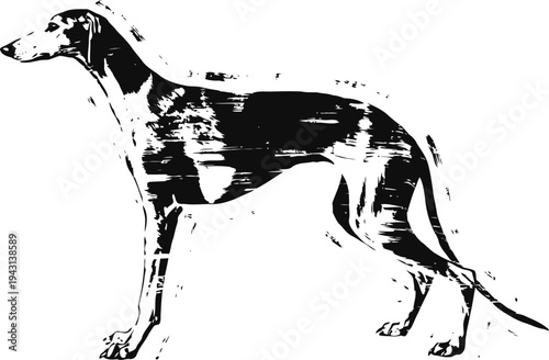 Black greyhound illustration silhouette of slender dog with narrow head, long legs and tail canine breed art design