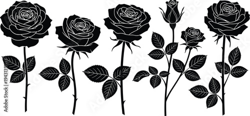 Black botanical silhouettes set, floral leaf and branch icons collection, monochrome garden plant elements, minimalist nature symbols, vector floral graphics,