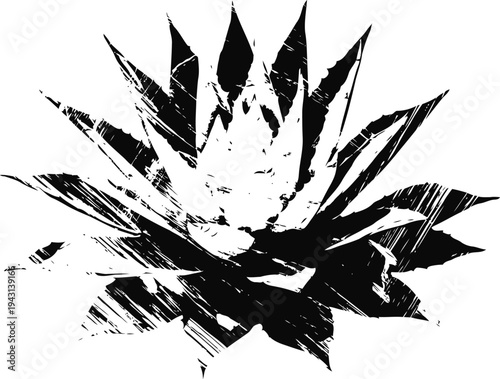 Black and white rough grunge agave plant illustration with textured distressed