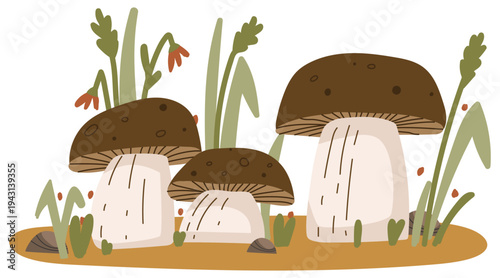 Mushrooms in a meadow. Flat vector illustration.