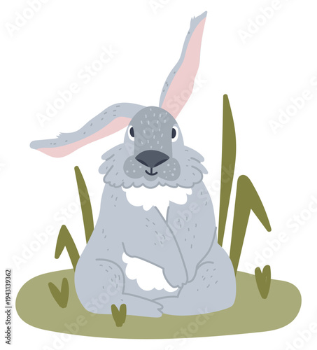 Gray rabbit with big ears sits on the grass. Wild hare in the forest. Flat vector illustration.