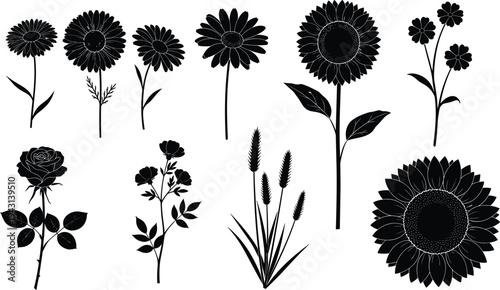 Black botanical silhouettes set, leaf and branch icons collection, monochrome garden plant elements, minimalist nature symbols, vector floral graphics,