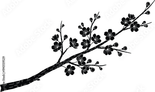 Black floral branch silhouette, minimalist botanical twig illustration, spring wildflower element, hand drawn nature vector, isolated on white background, design. (20 words)