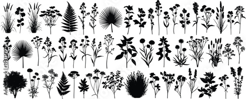 Black flower and leaf silhouettes set, botanical branch icons collection, monochrome floral design elements, minimalist garden plant symbols, vector botanical graphics,