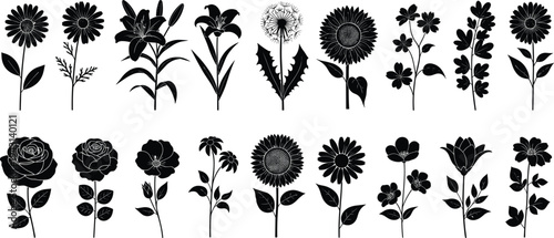 Black flower silhouettes set, minimalist botanical vector collection, hand drawn nature elements, garden floral icons, isolated on white background, design. (20 words)