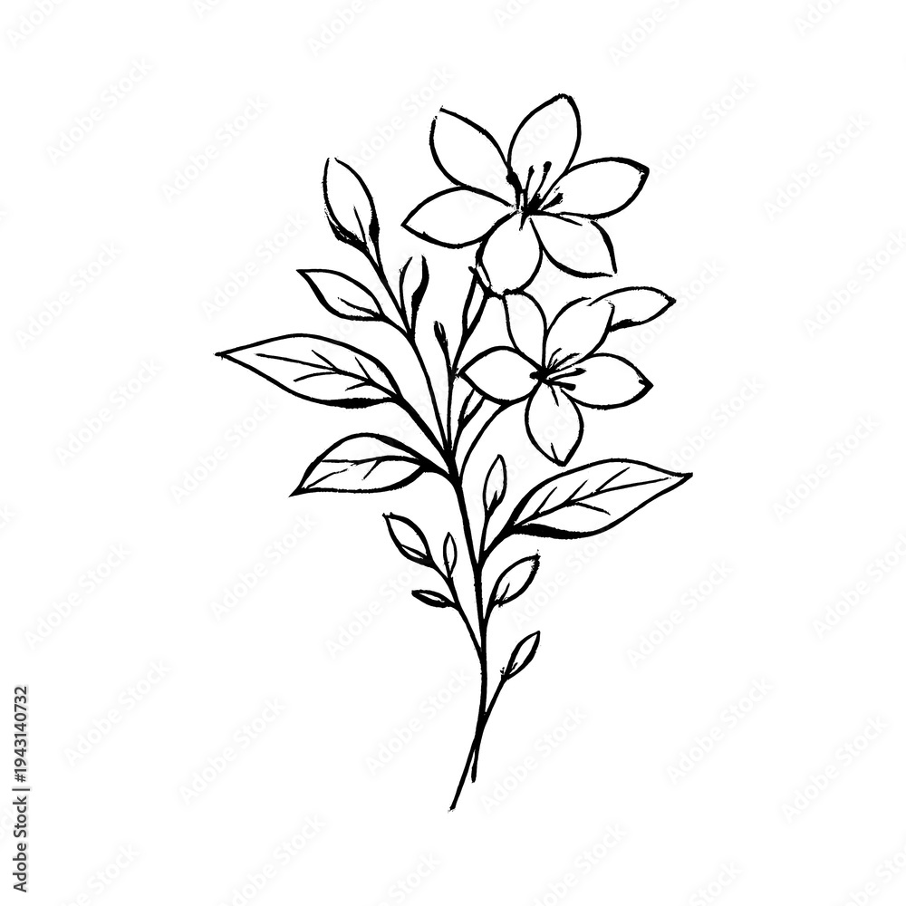 Naklejka premium PNG Elegant floral line art illustration.