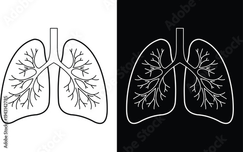 Human lungs vector illustration, flat design on white and black background