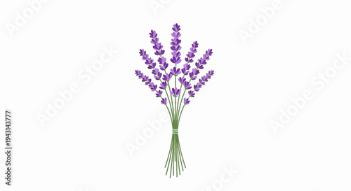 A stylized bouquet of purple lavender stems with green accents