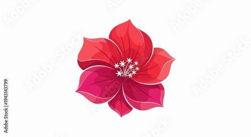 Vivid red and pink flower with delicate white center on white background