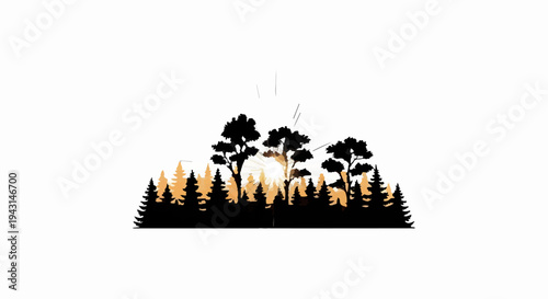 Silhouette of evergreen trees with sunburst in between