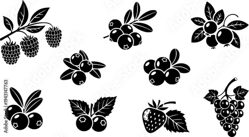 Black and White Icons of Berries on Branches and Bunch
