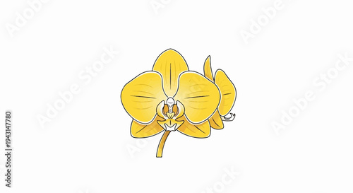 Realistic yellow orchid flower with detailed petals and center