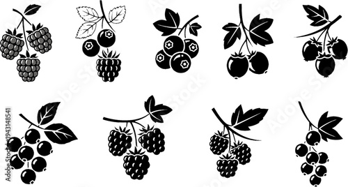 Black and White Icons of Berries on Branches and Bunch
