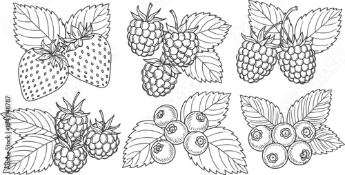 Hand-drawn doodle set of various garden berries and leaves, including strawberry, raspberry, and blueberry, illustrated in a simple black and white monochrome line art style