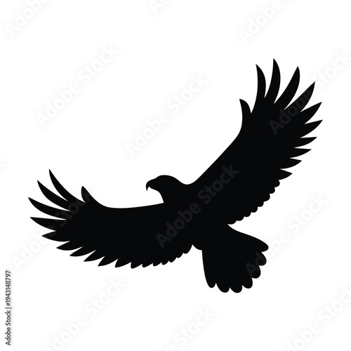 Black silhouette of an eagle in flight